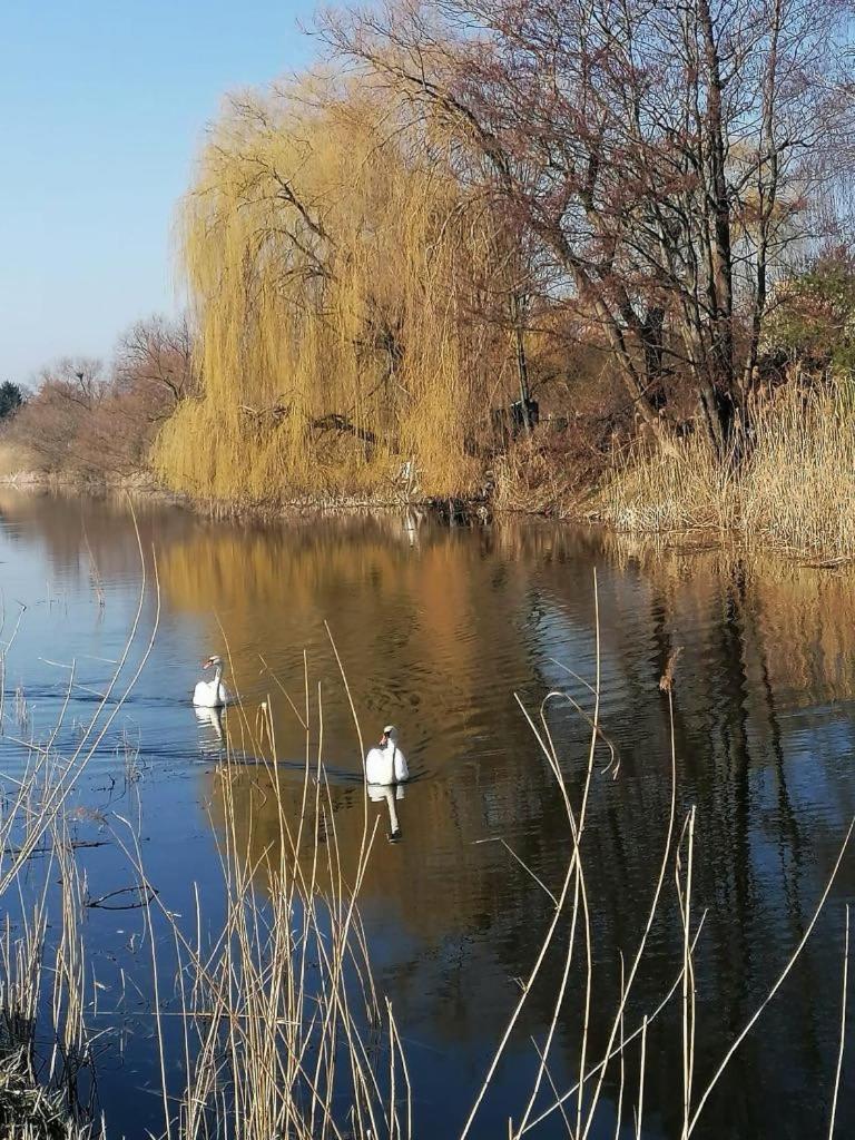 *Dana Pokoje Goscinne Danzica Esterno foto
